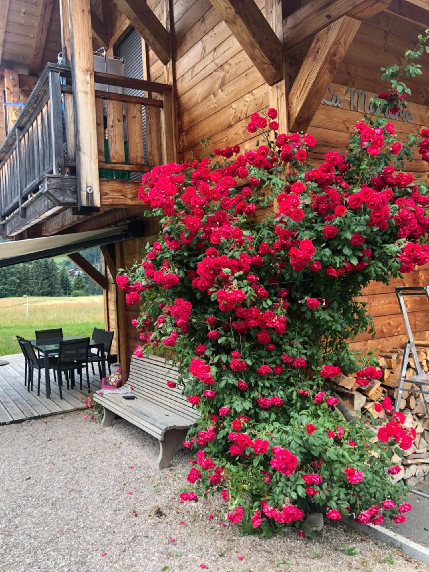 Appartement Chalet La Merlerie Morzine Extérieur photo